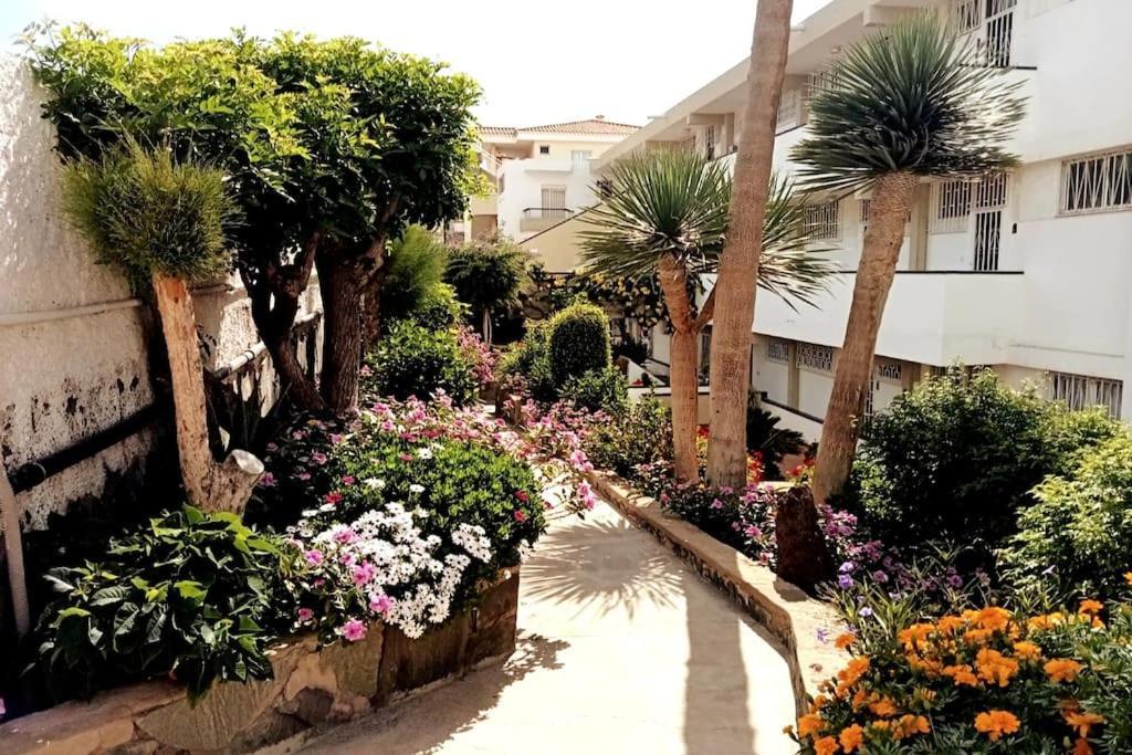 Apartment With Large Terrace, 10 Meters From Playa De Las Burras San Bartolome de Tirajana  Exterior photo